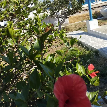 Porto Galini Tinos Karya 102 * Agios Ioannis (Tinos)
